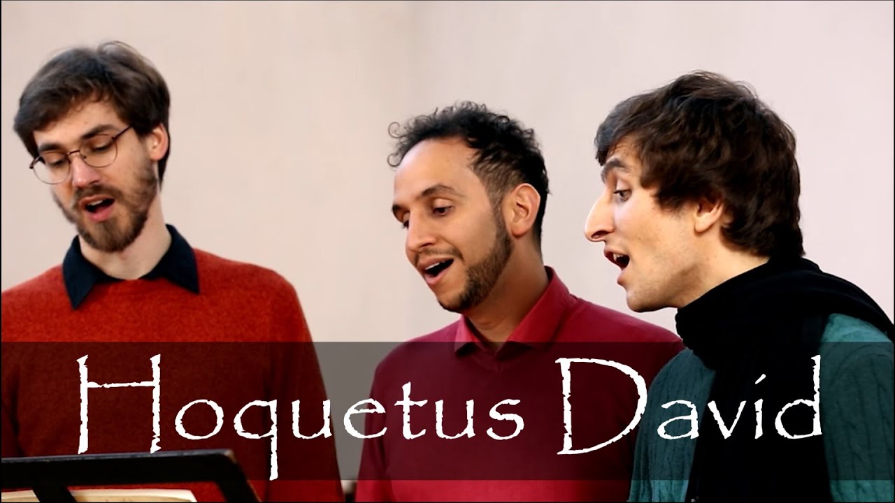 Hoquetus David