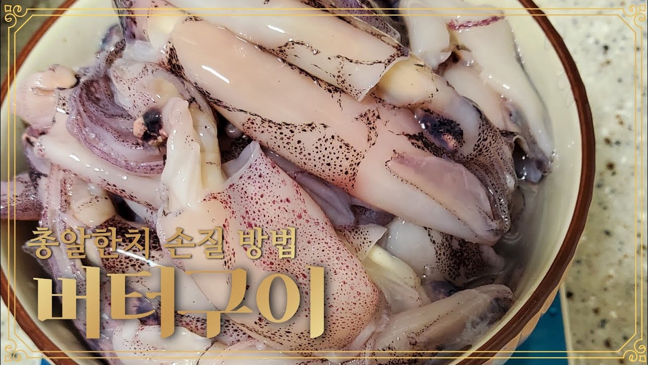 총알한치 손질 방법 & 총알한치 버터구이 🐙🐙