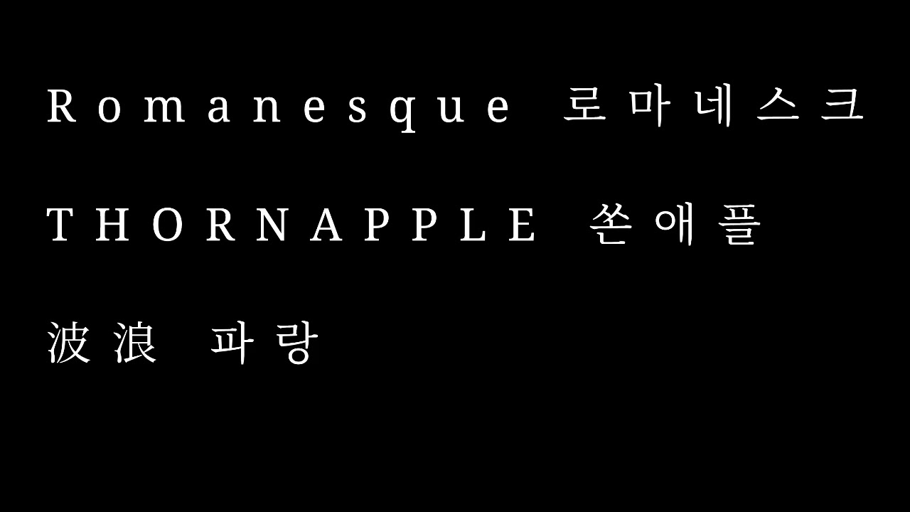 로마네스크 - 쏜애플 THORNAPPLE