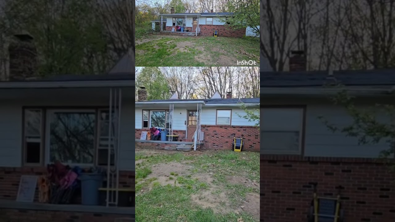 Paranoid Hoarder Yard Clean-up #beforeandafter #hoardingcleanup #familyhome #restoration #gardening