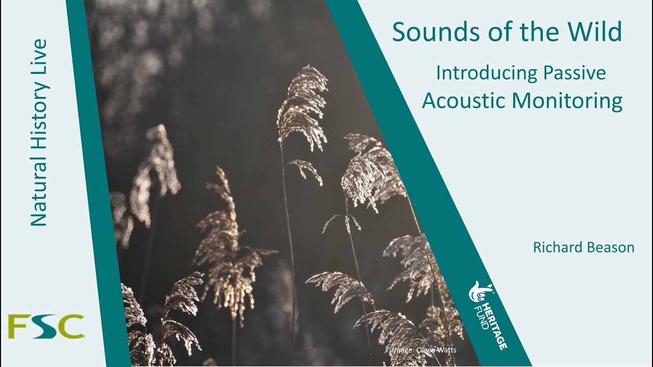 Sounds of the Wild: Introducing Passive Acoustic Monitoring