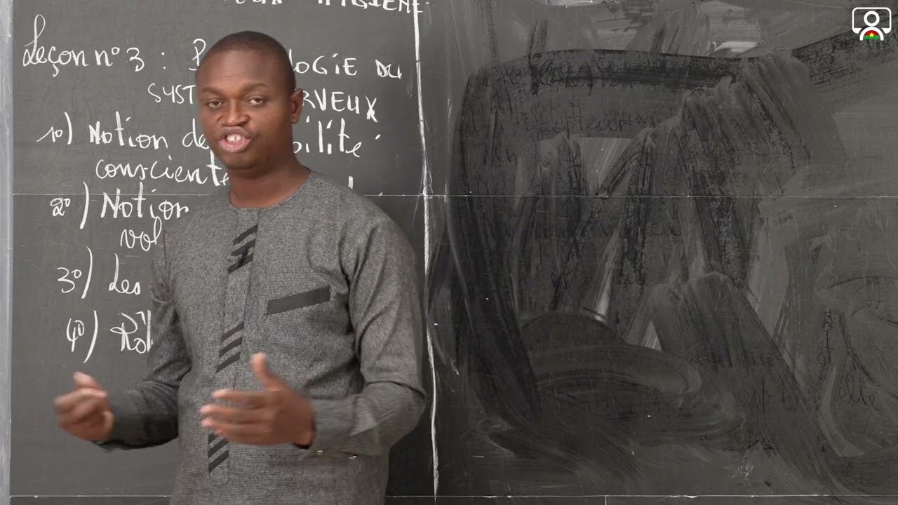 Cours - 3e - SVT : Physiologie du système nerveux 4/4