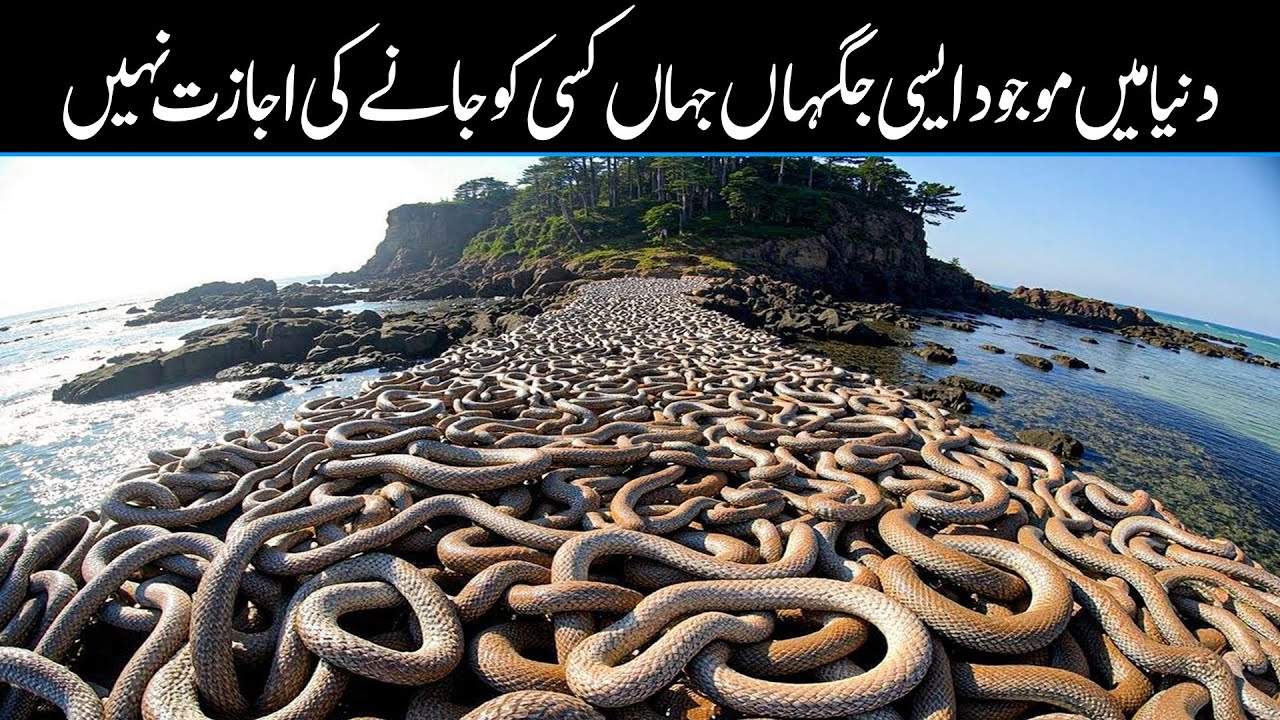8 Scientifically Impossible Places That Actually Exist In Urdu Hindi