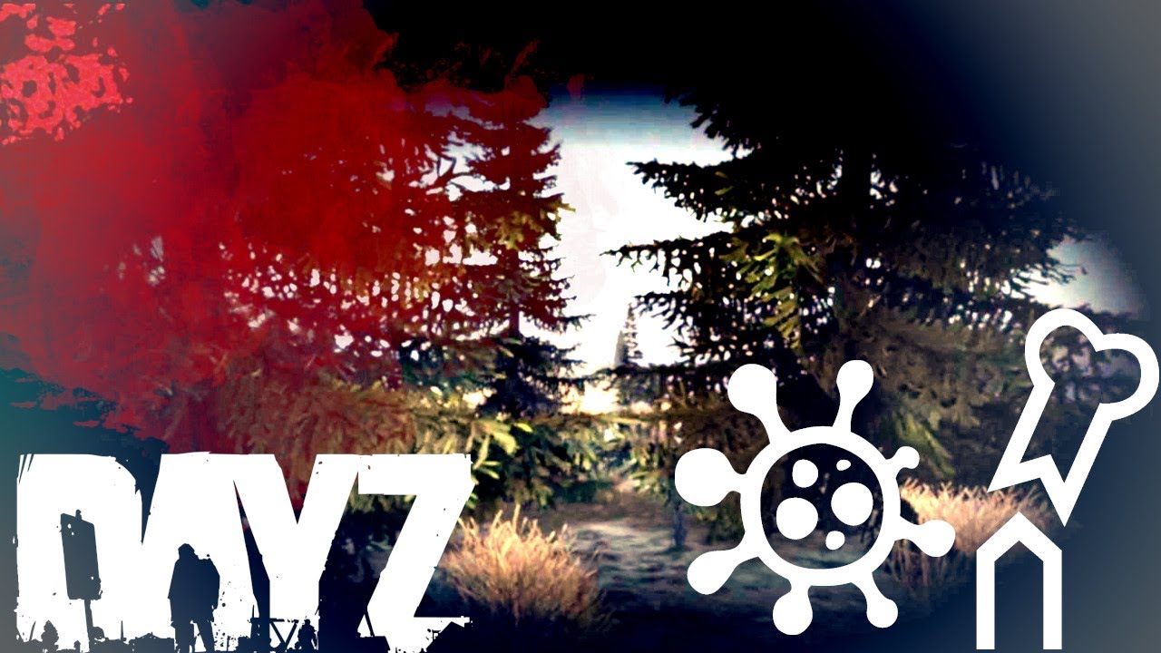 1000 Hour DayZ Survivor BREAKS LEG Before PVP
