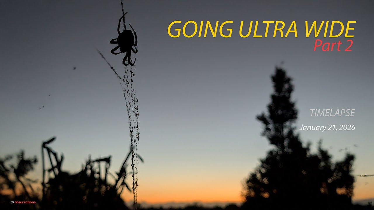 Going Ultra Wide - Part 2