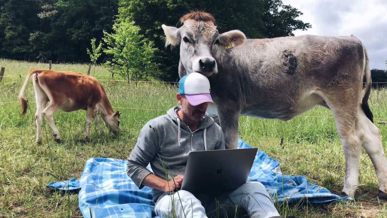 Der Kuhfl&uuml;sterer / The cow whisperer &ndash; Moustache Farmer