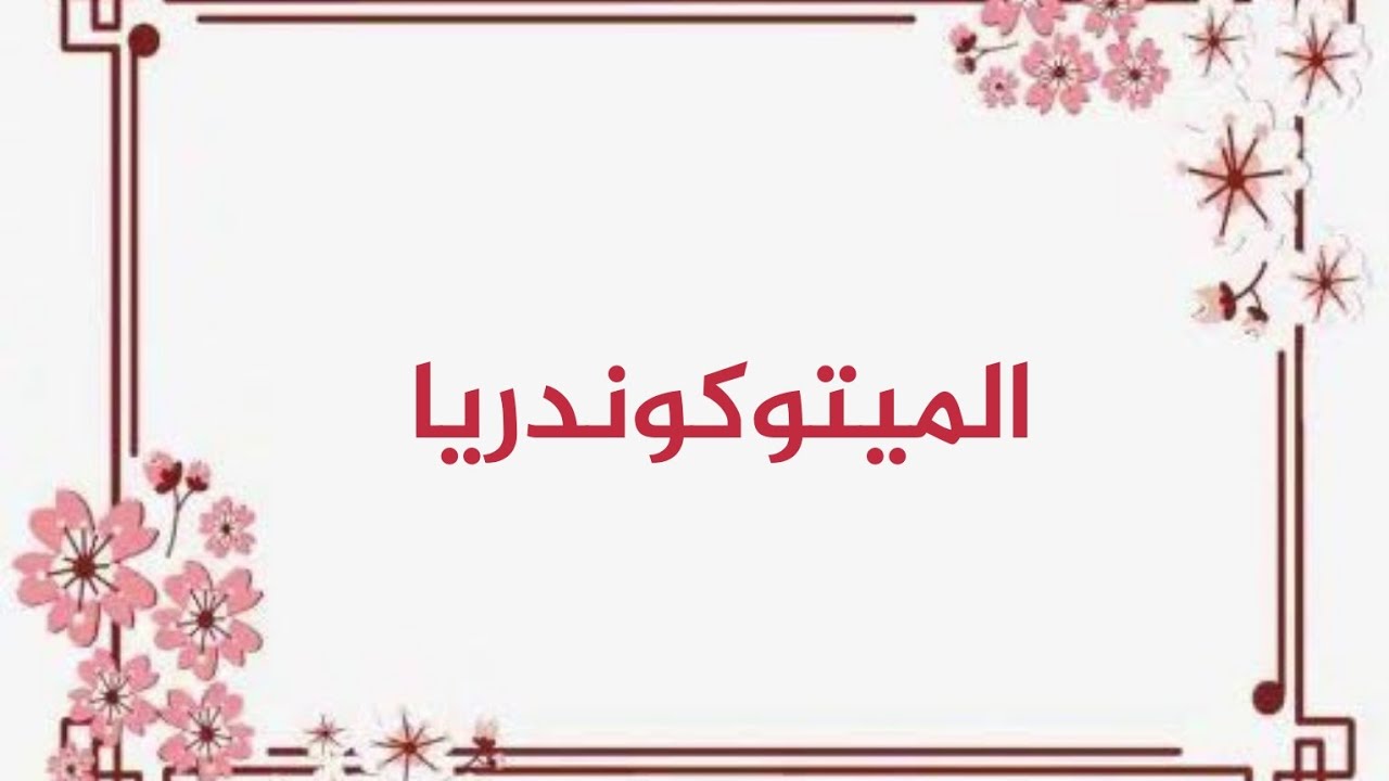 الميتوكوندريا