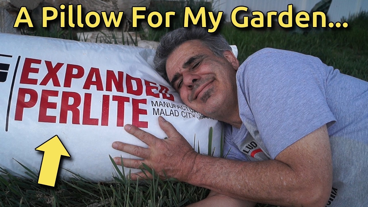 How I Transformed Brick-Hard Clay into Fluffy Garden Soil with Perlite