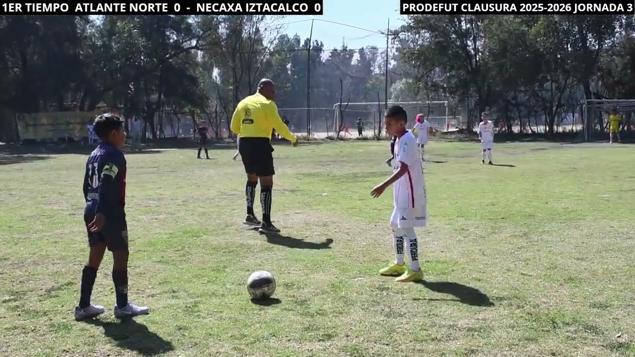 Atlante Norte 2016  vs  Necaxa Iztacalco  08/02/26