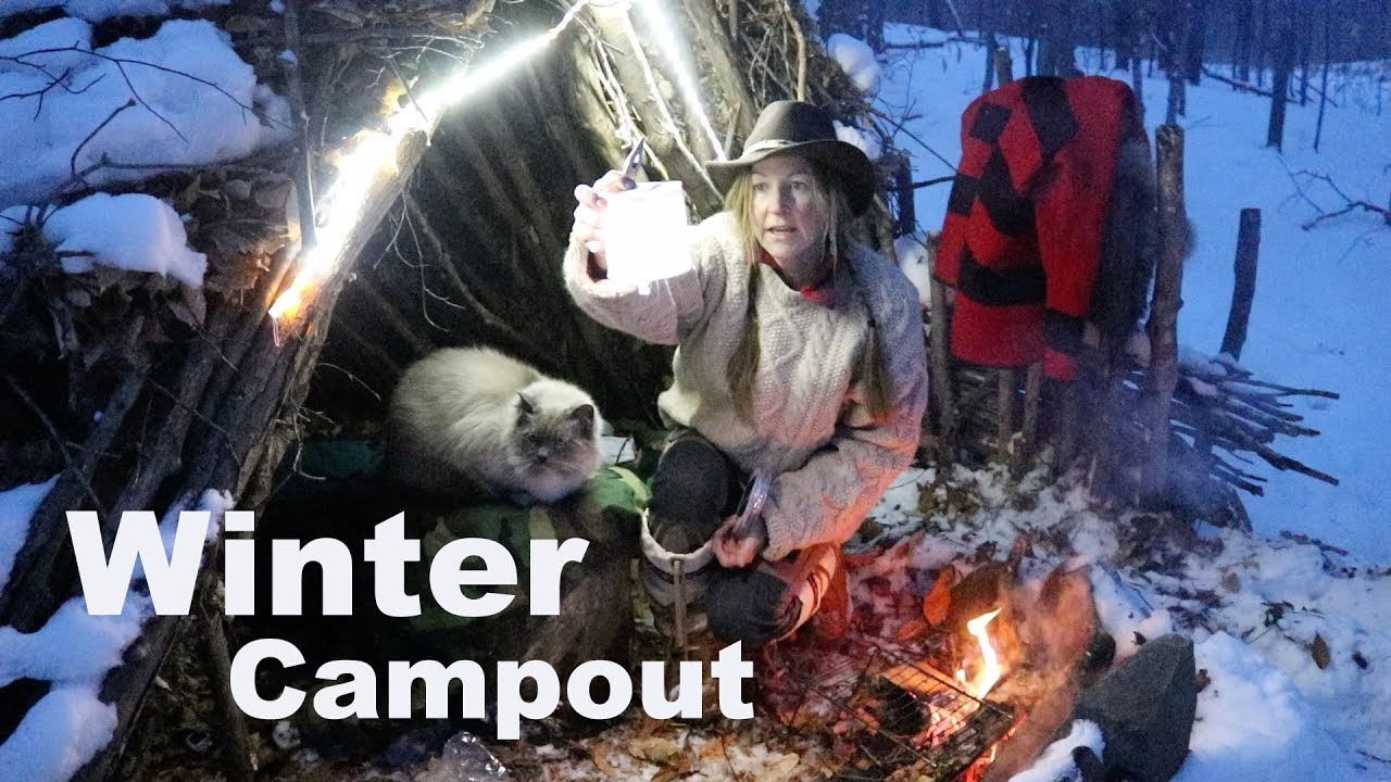 Bushcraft Shelter Overnight with my Dog & Cat~ Campfire Cooking