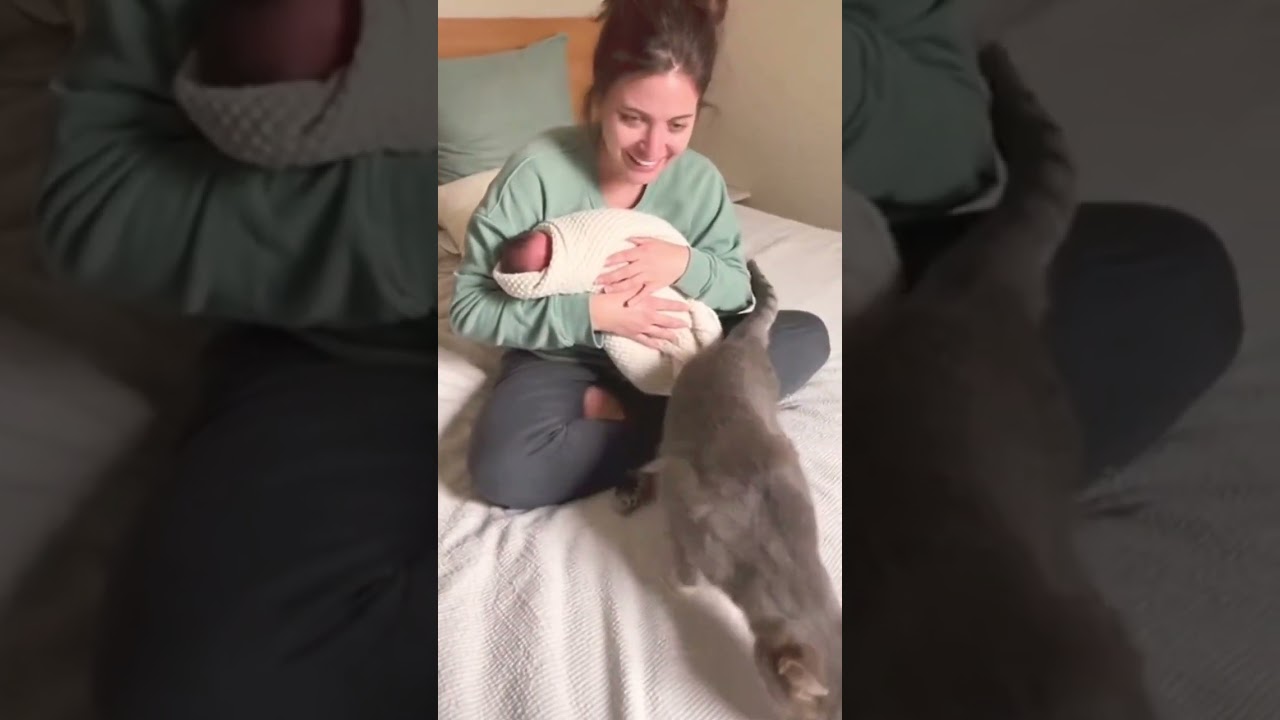 Adopted Cat Shows Me Love 🐱❤️ | Best Adoption Ever 