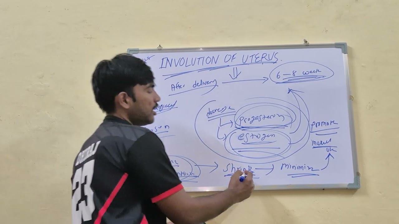 INVOLUTION OF UTERUS BY NURSETALKS SHORT SUMMARY 