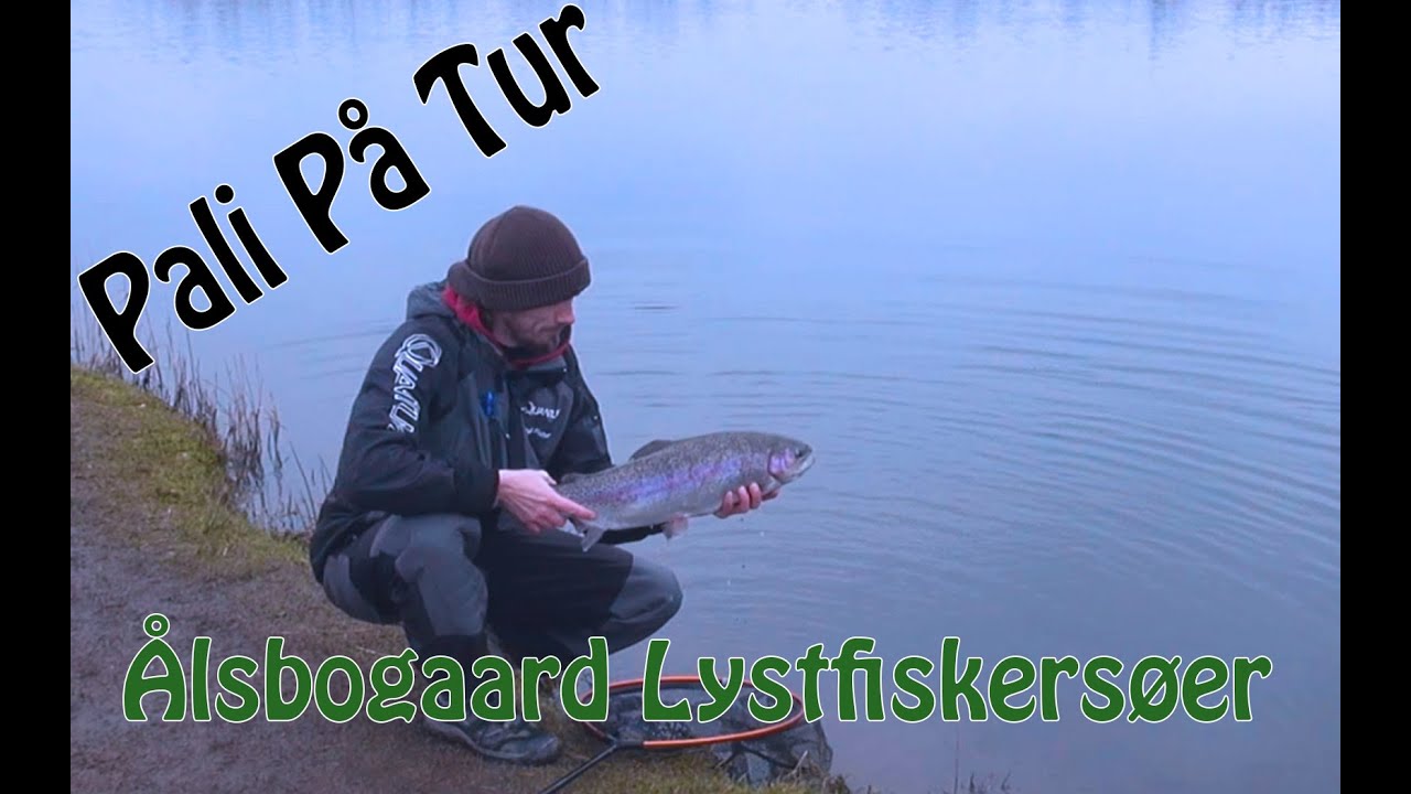 PutFiskeri bes&oslash;ger &Aring;lsbogaard lystfisker s&oslash;