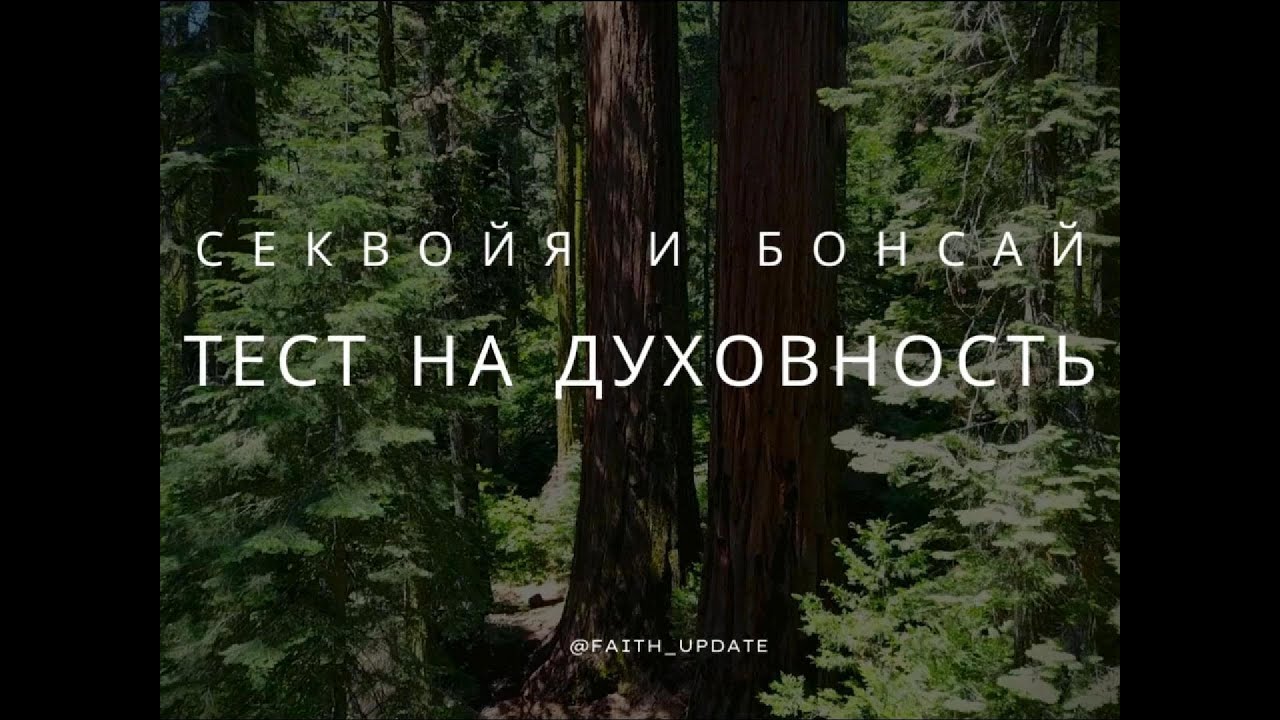 Секвойя и бонсай   Тест на духовность