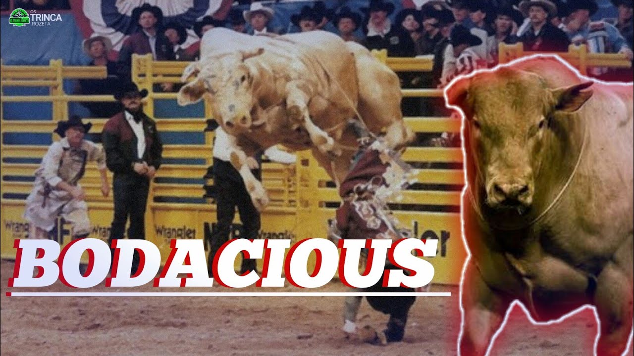 Top Bull - Bodacious