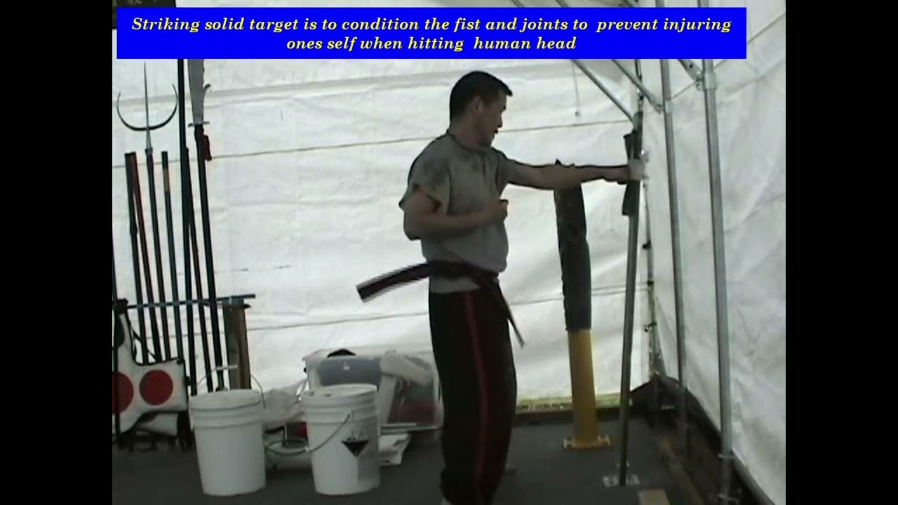 conditioning punching kicking and goh ki