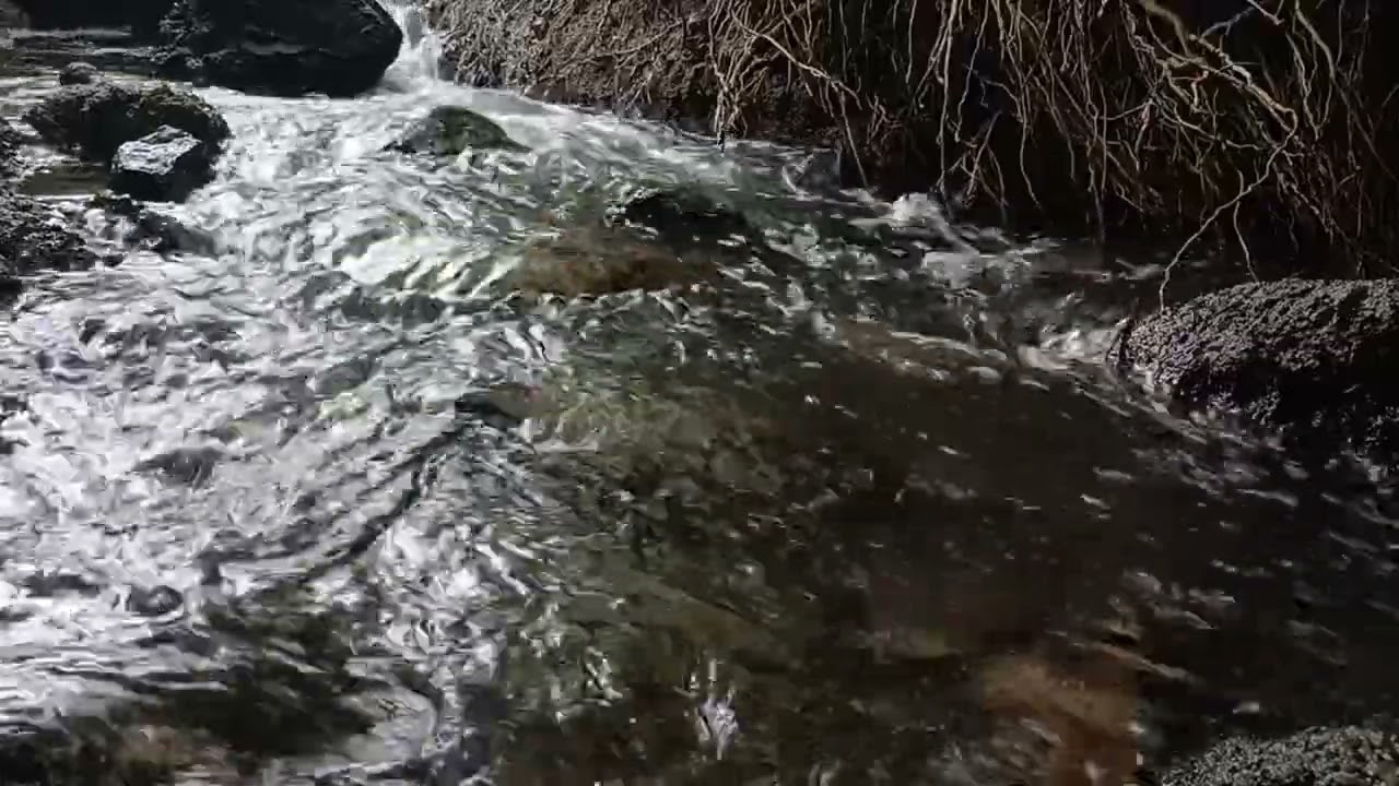 100% Pure Water Sounds for Stress Relief & Deep Sleep ❘ ASMR