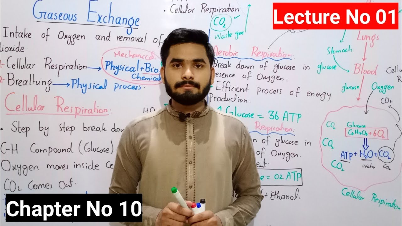 Gaseous Exchange Class 10 || Lecture No 01 || Chapter No 10 || Class 10 Biology Lectures Series