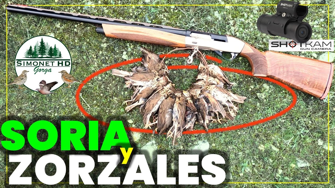 ✔️​​ 𝙕𝙊𝙍𝙕𝘼𝙇𝙀𝙎 en Soria 2025 | 📽️​ | Día de frío ❄️​ con Ximo 🥶​