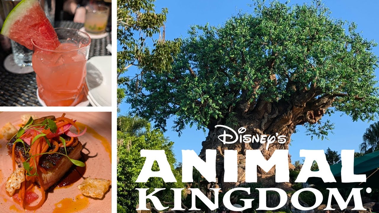 Our Morning at Animal Kingdom 2025 | Nomad Lounge | Flight of Passage | Dinosaur Farewell