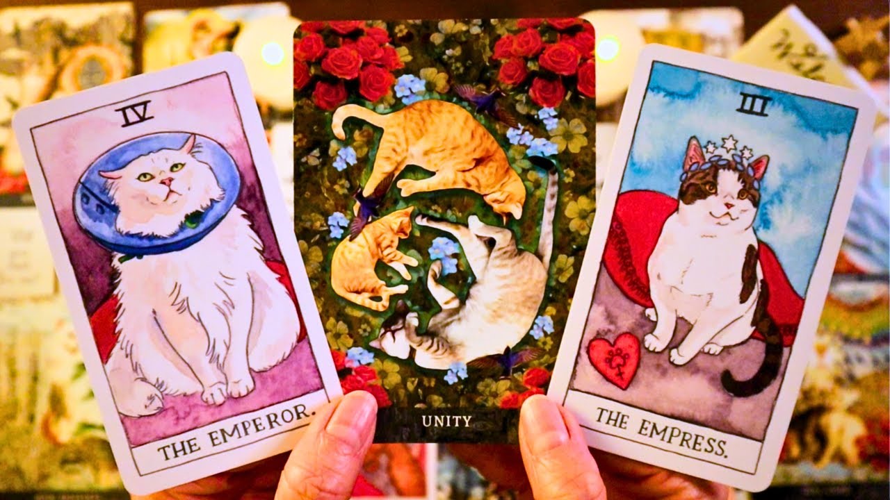 THEY’RE CHOOSING YOU!! A NEW BEGINNING!! ❤️ LOVE TAROT