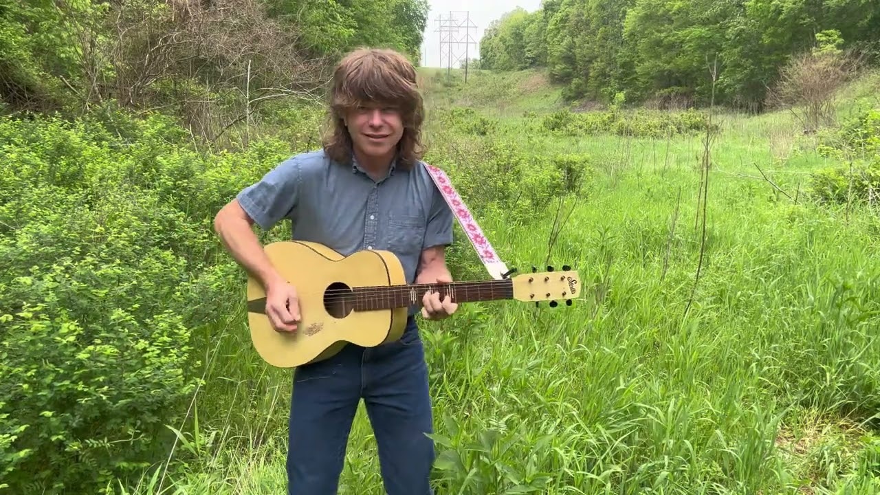 Guitars