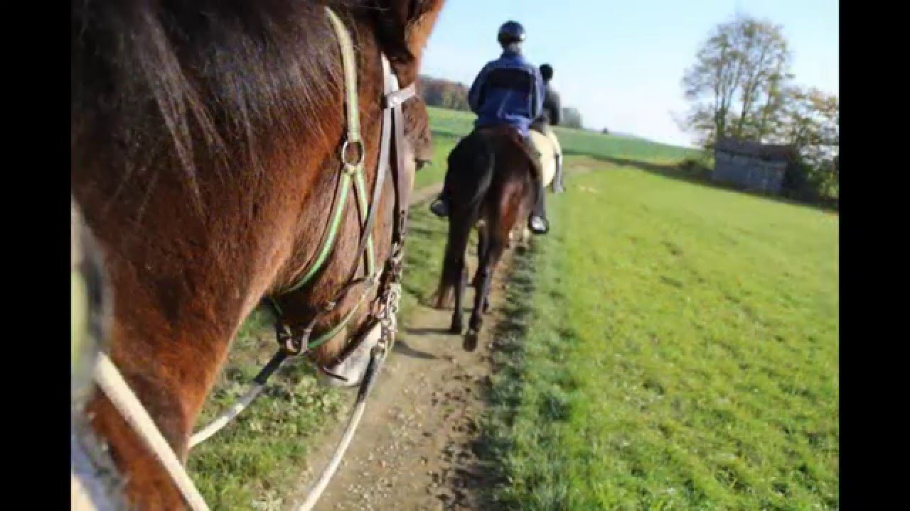 Wanderreiten mit Maultieren und Pferden 2015