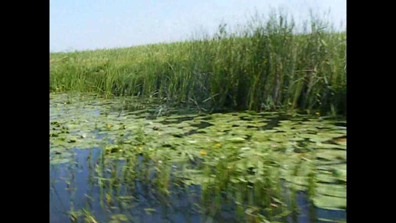 Delta Dunarii - Sulina - Romania