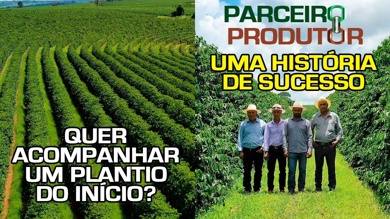 Quer Acompanhar um Plantio do Início? | Parceiro Produtor, Uma História de Sucesso | No Pé do Café