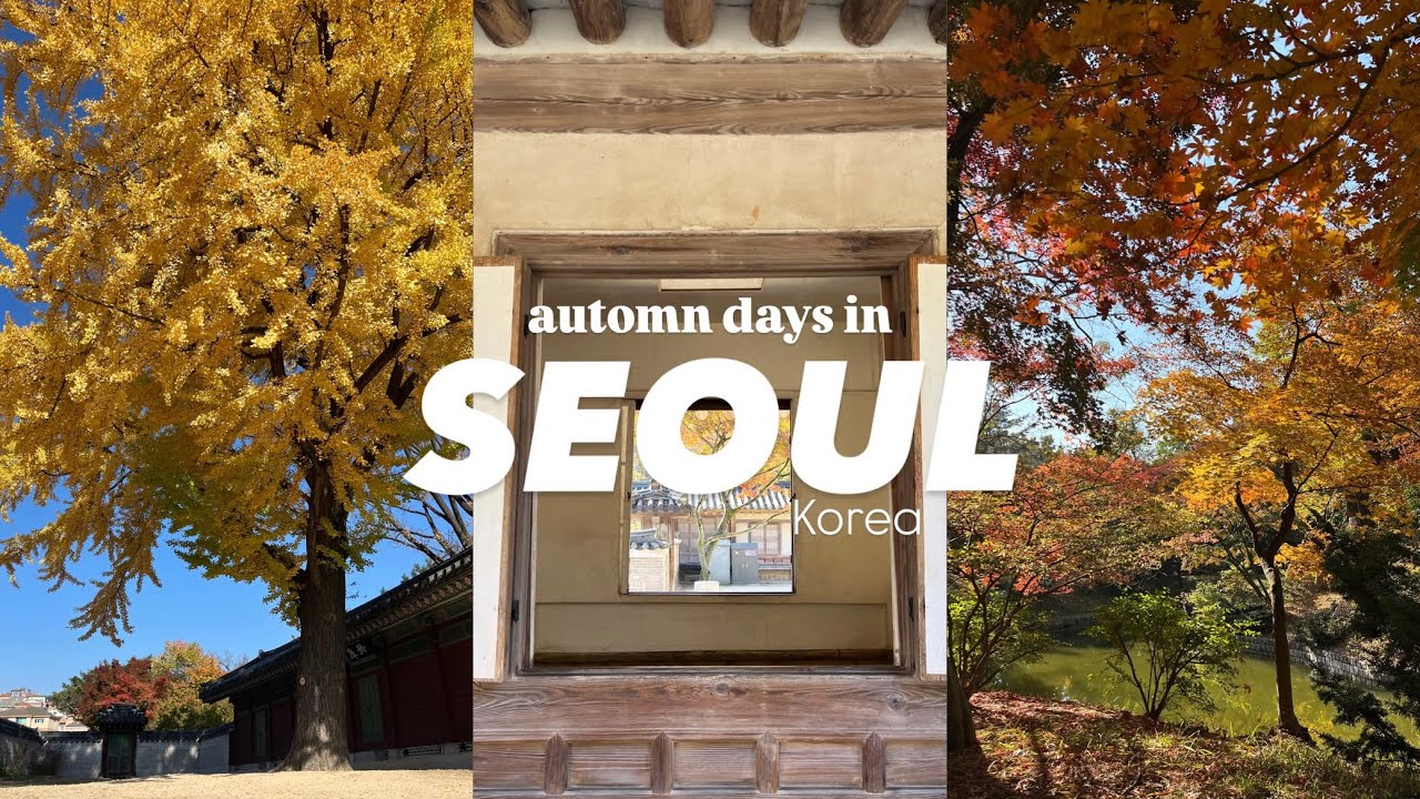 Chasing Autumn in Seoul | Secret garden, Park & Hidden Cafés | Seoul Life