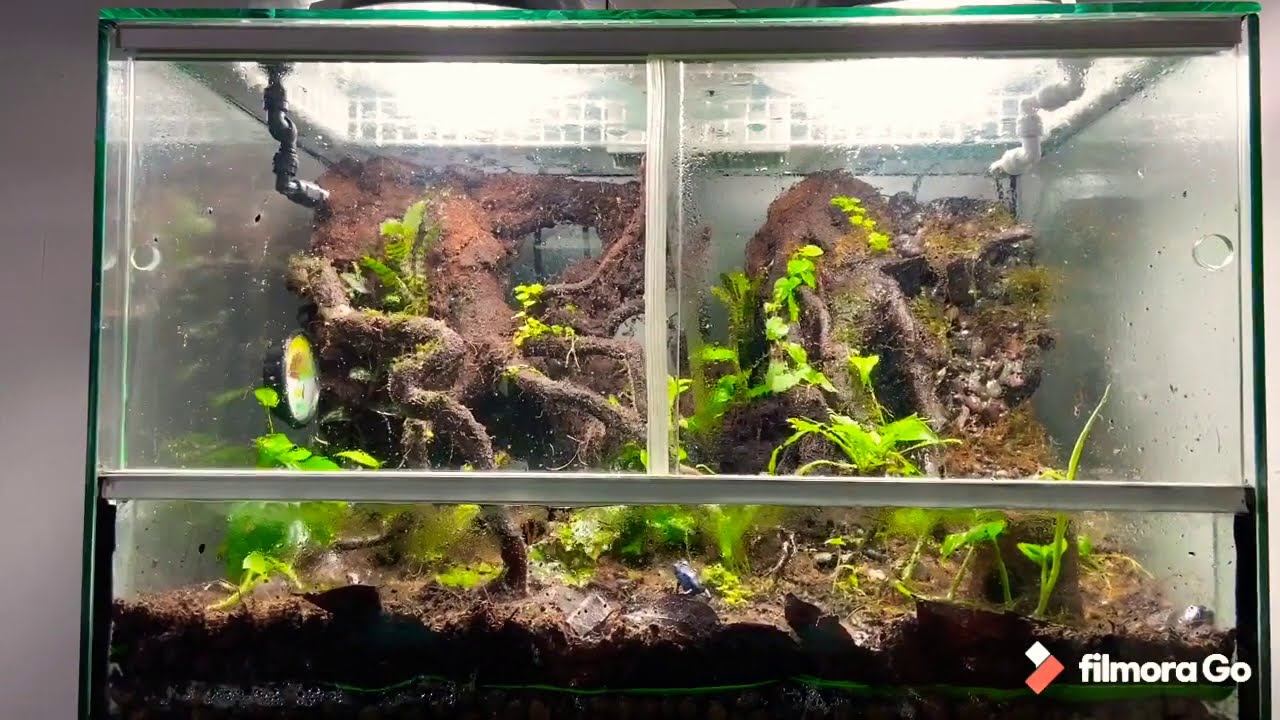 Sistema de lluvia casero
