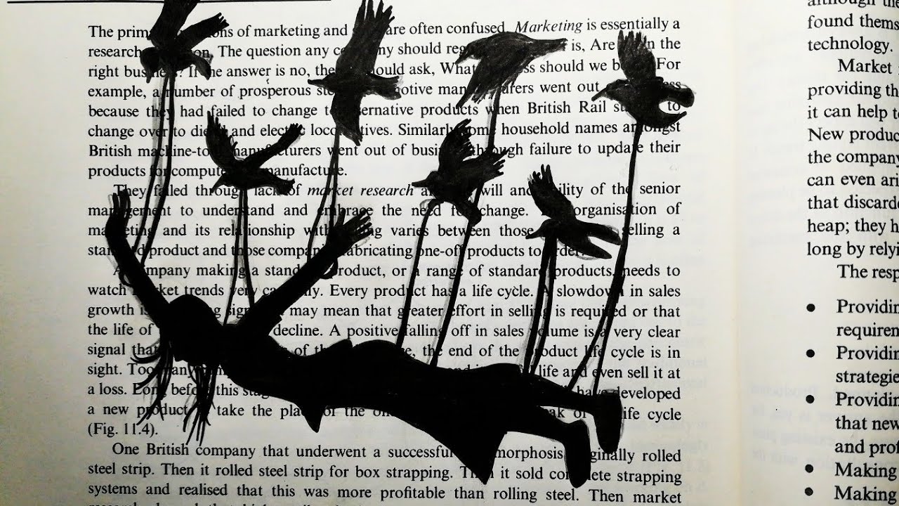 How To Draw a Girl on Book رسم على الكتاب رسم سهل بنت و عصافير خطوة بخطوة رسوم تعبيرية بالرصاص