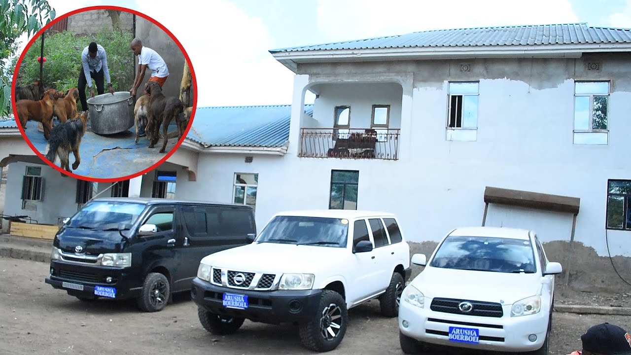 KIJANA WA KITANZANIA ALIETAJIRIKA KUPITIA MBWA 