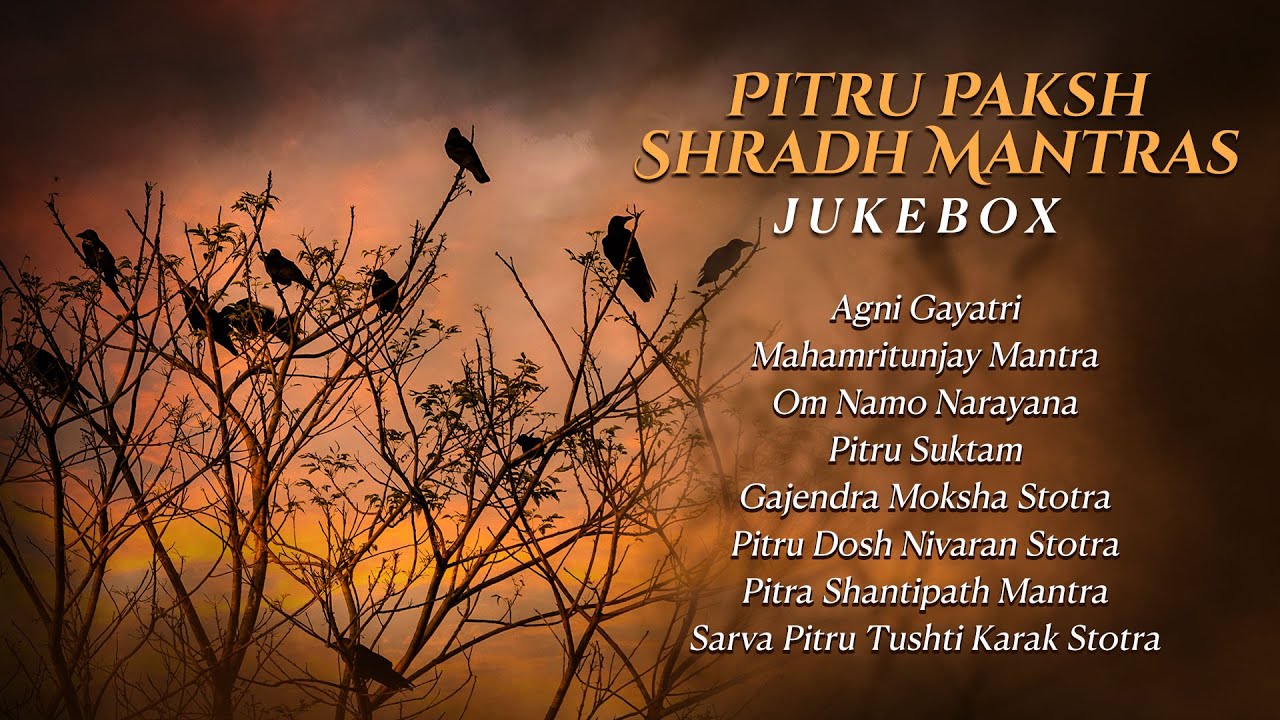 Pitru Paksh Shradh Mantras | Jukebox | Pitru Paksha Stotra | Mantras | Pitru Paksha 2024