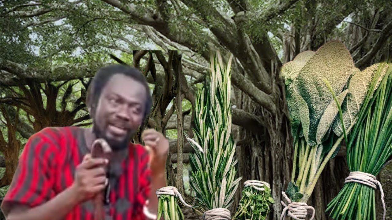 The Plant Of Tuesday Borns Is Nunum, Find Out Your Sacred Plant Based On Th Day You Were Born