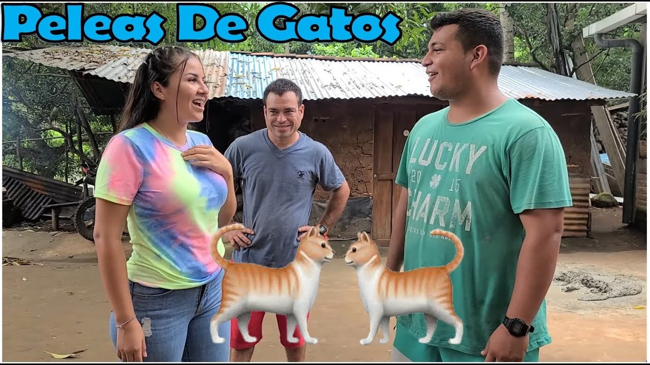 -Demostrando El Gran Talento Que Tienen Con La Boca😱Mira Como Emitan Una Pelea De Gatos-