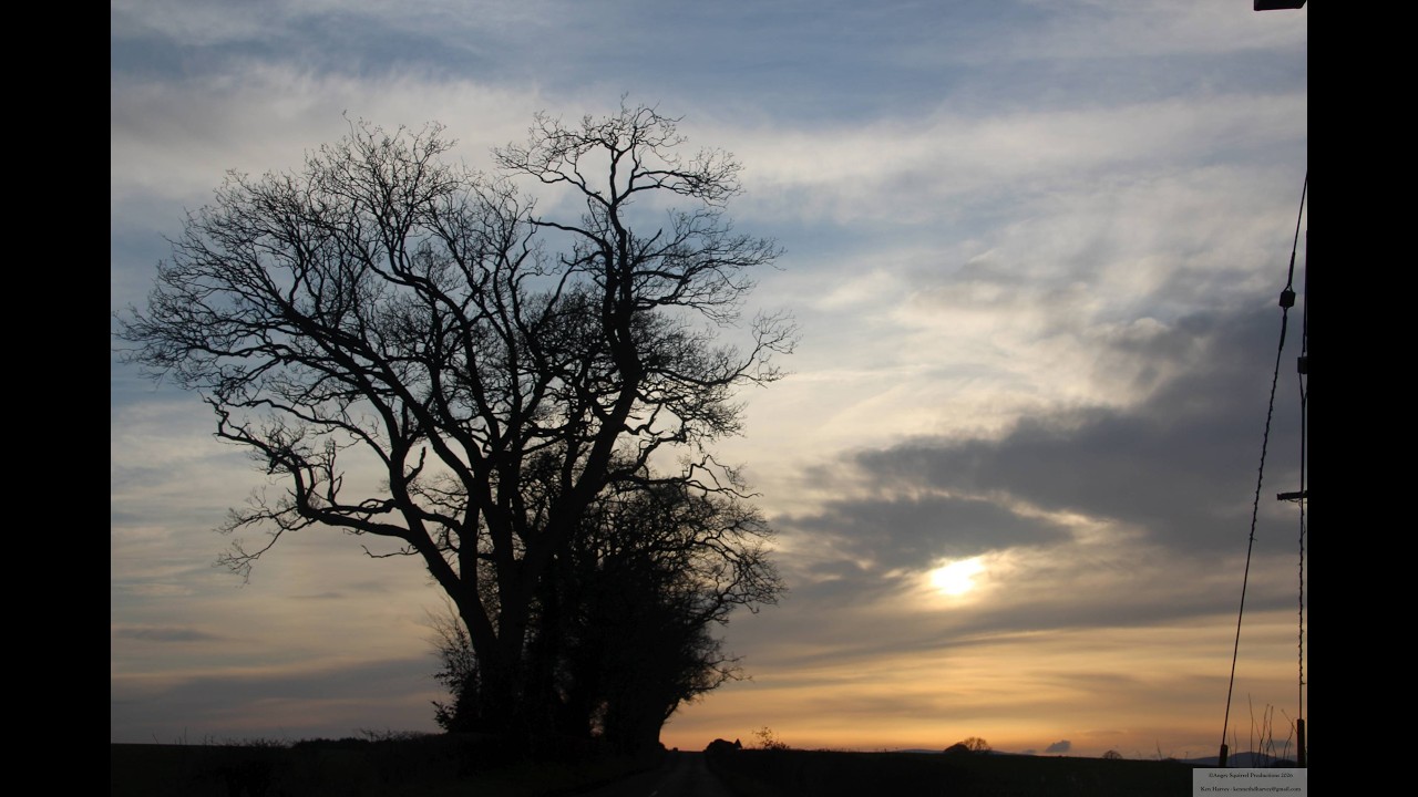 Spring Sunset Flights near Tibbermore