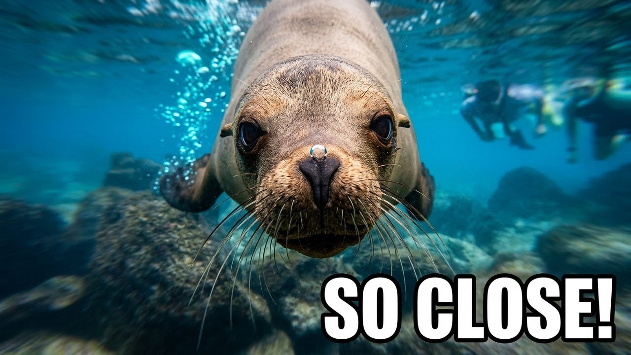 Snorkeling the Most Beautiful Island on Earth