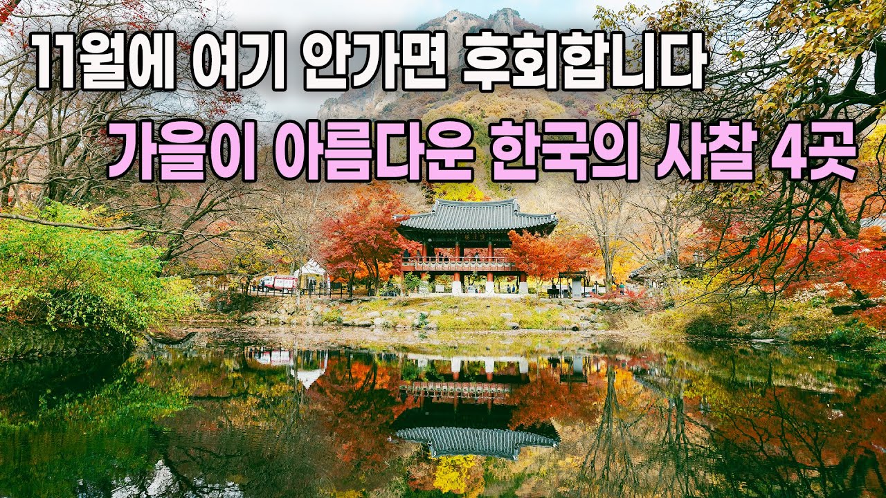 11월에 놓치면 후회할 단풍여행지, 한국에서 가을이 아름답기로 소문난 사찰 4곳을 소개해 드립니다. I 불국사 내장사 백양사 선운사
