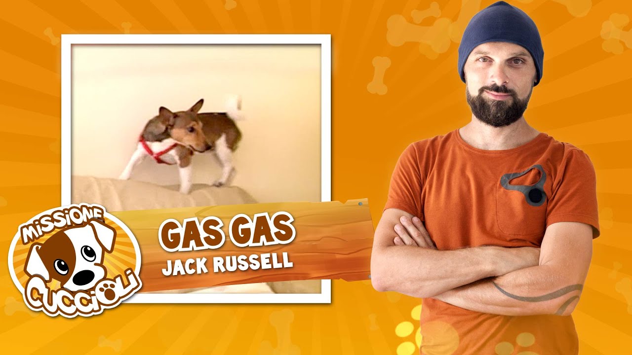MISSIONE CUCCIOLI Stagione 2 con Simone Dalla Valle - Gas Gas, jack russell