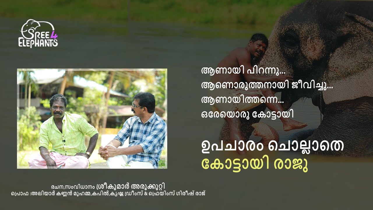കരിപ്പുവിന്റെ ആനയെ ഇടിച്ചൊതുക്കി കണ്ടമ്പുള്ളി ബാലനാരായണന്റെ ജീവൻ രക്ഷിച്ച കോട്ടായി രാജു. പക്ഷെ....
