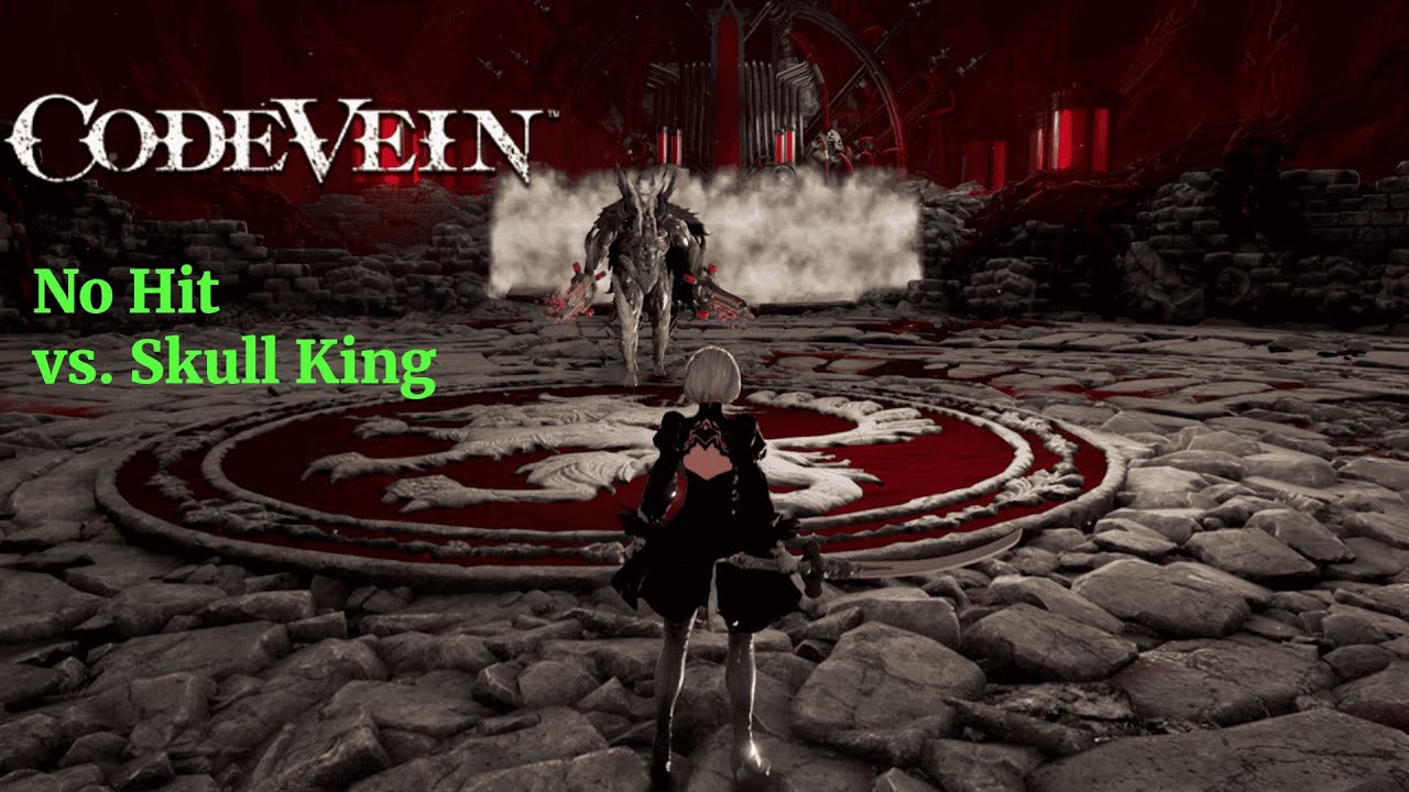 NIER VEIN vs. Skull King (No hit)