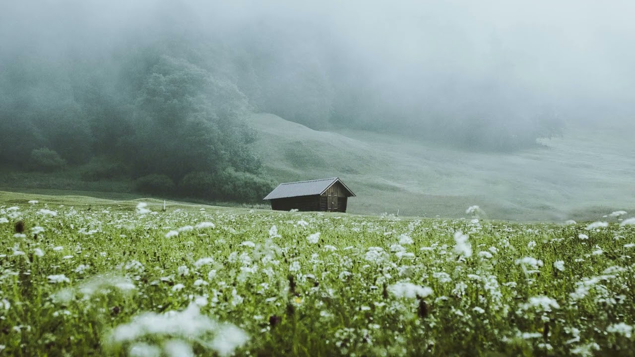 Cabana na Neblina 🌫️ Solitude & Paz | Peaceful Meadow Ambience