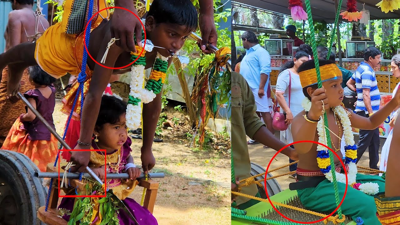 கண்கலங்க வைக்கும் பாசக்கார காவடிகள் - யாழ்ப்பாணம் மாதகல் நுணசை முருகன் கோவில் - தேர்த்திருவிழா -2023