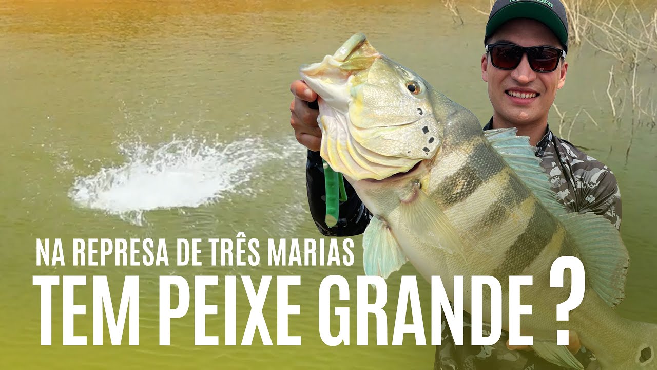 REPRESA DE TRÊS MARIAS TEM PEIXE GRANDE? Pescaria com Nelson e Renan Nakamura