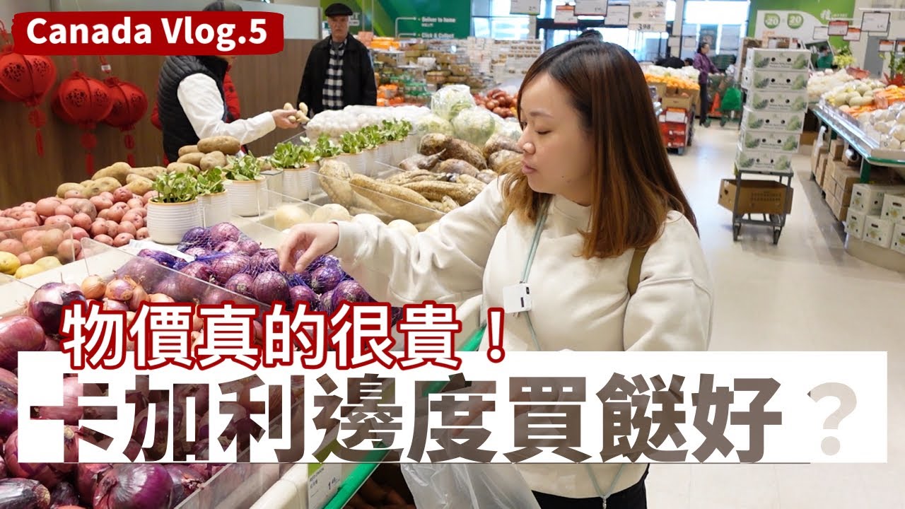 ENG SUB[加拿大Vlog]卡加利物價如何？去邊度買餸平？平時買咩多？好物推介！