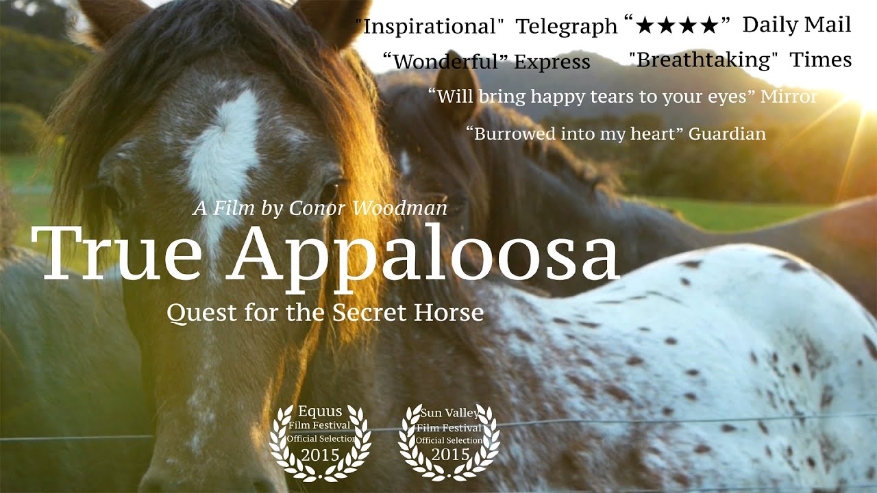 True Appaloosa - Trailer
