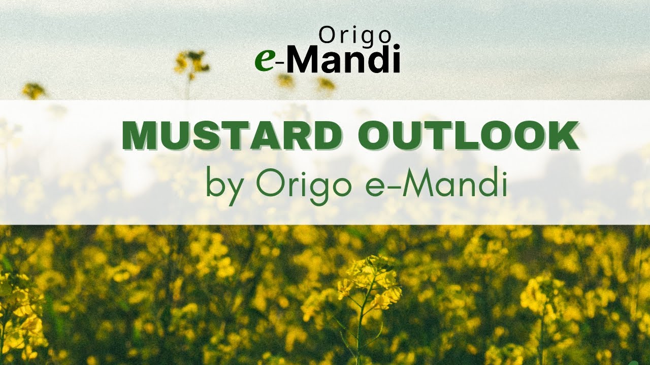 Mustard Outlook by Origo e-Mandi Research