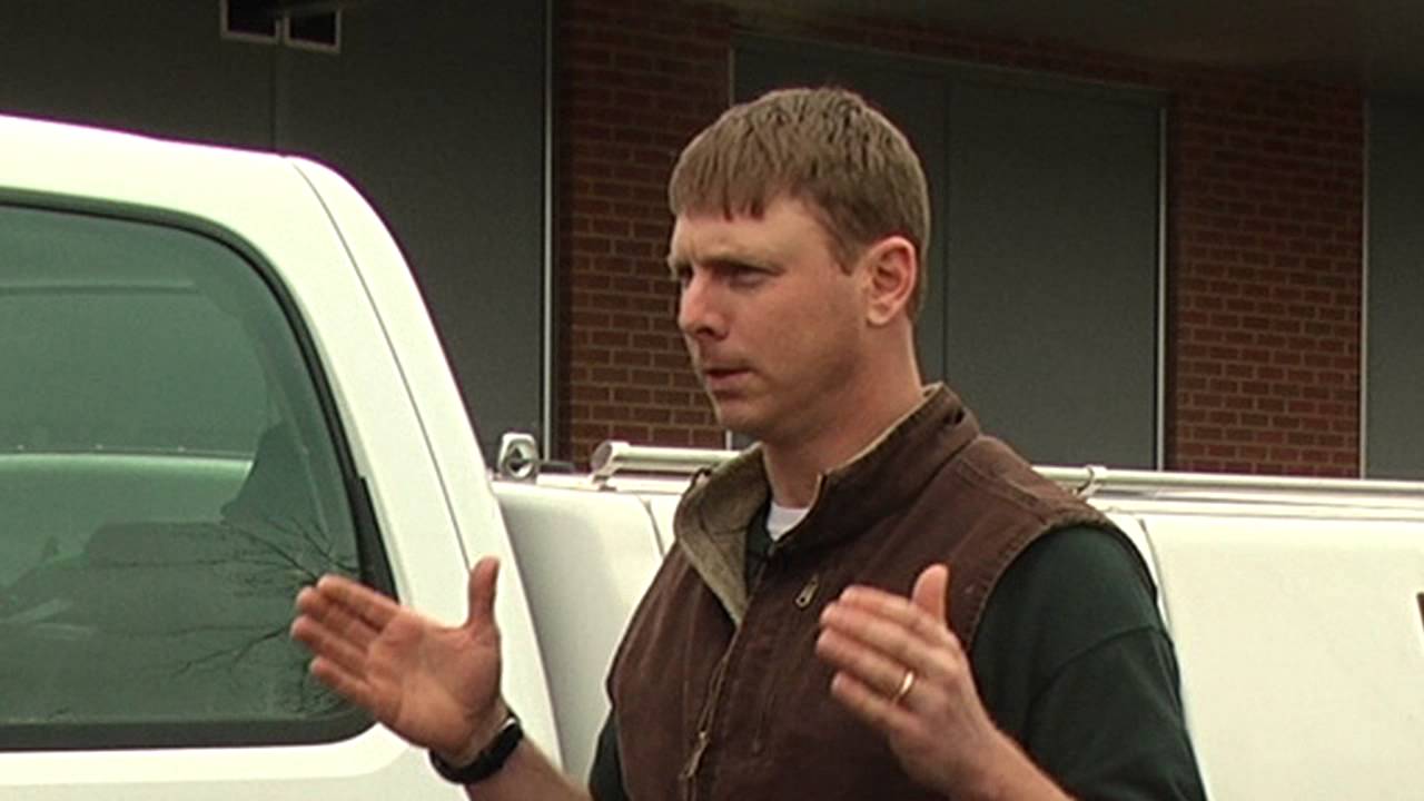 Veterinarians at UT Discuss Scours in Calves