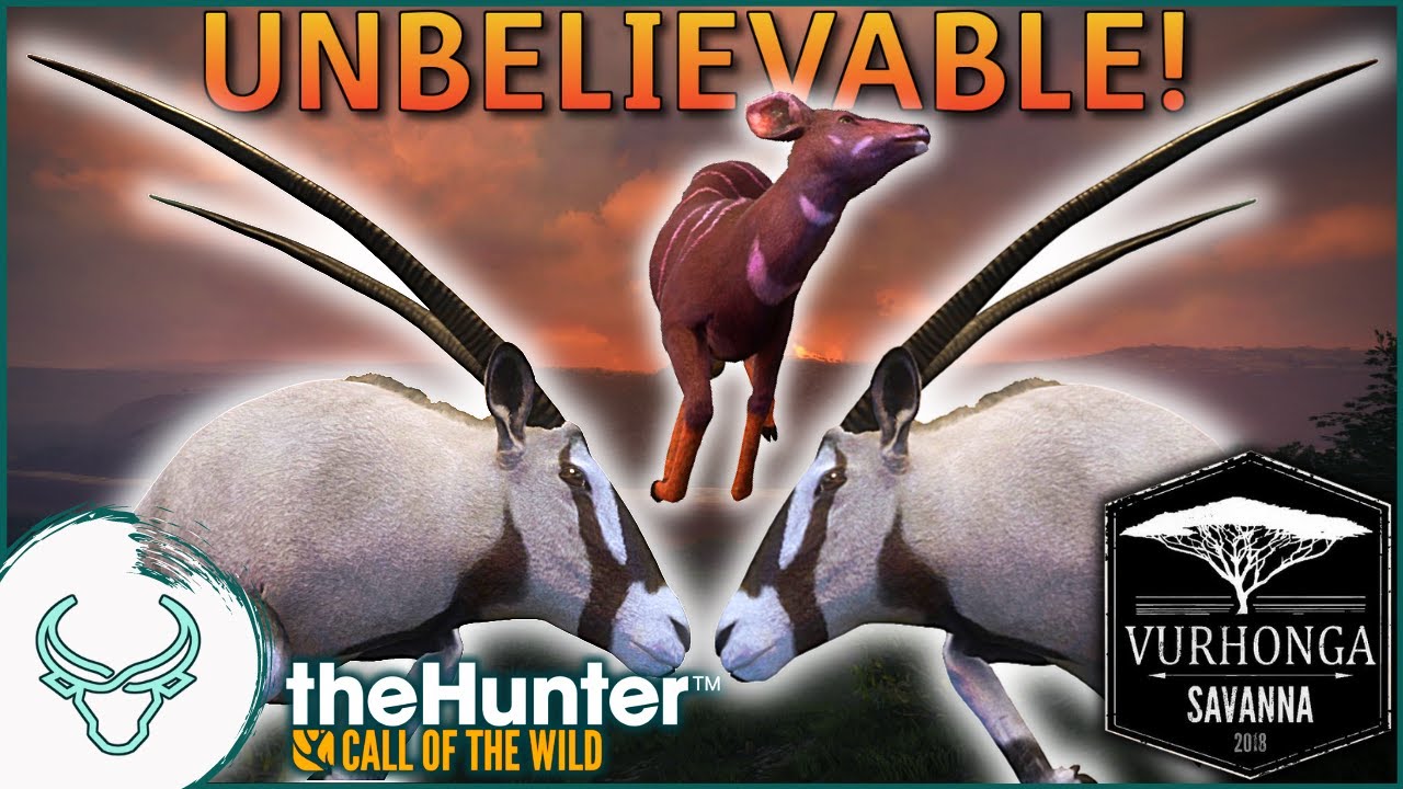 Craziest. Hunt. Ever! Hunting for a Diamond Gemsbok in Vurhonga Savanna! theHunter Call of the Wild